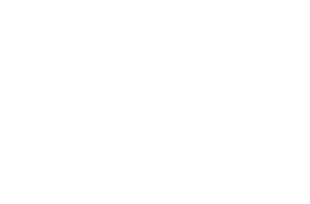 Parus logo full